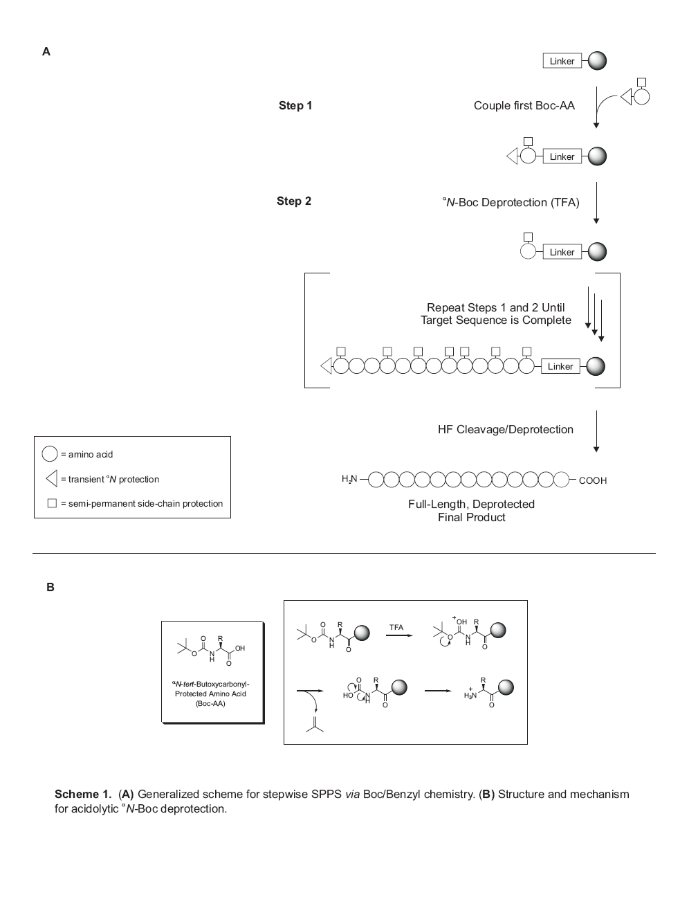 Scheme 1